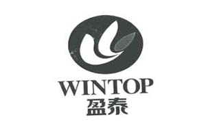 上海盈泰新材料科技有限公司logo图