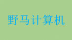 青岛野马信息技术有限公司logo图