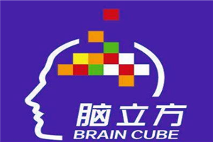 北京全脑立方教育咨询有限公司logo图