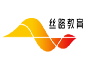 丝路视觉科技股份有限公司logo图