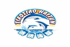 河南跳跳海豚企业管理咨询有限公司logo图